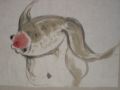 07 - Goldfisch